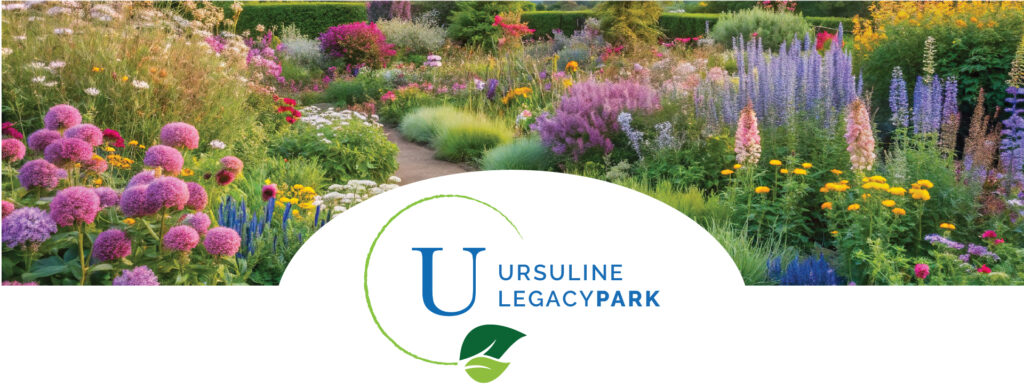 wildflower image with ursuline logo